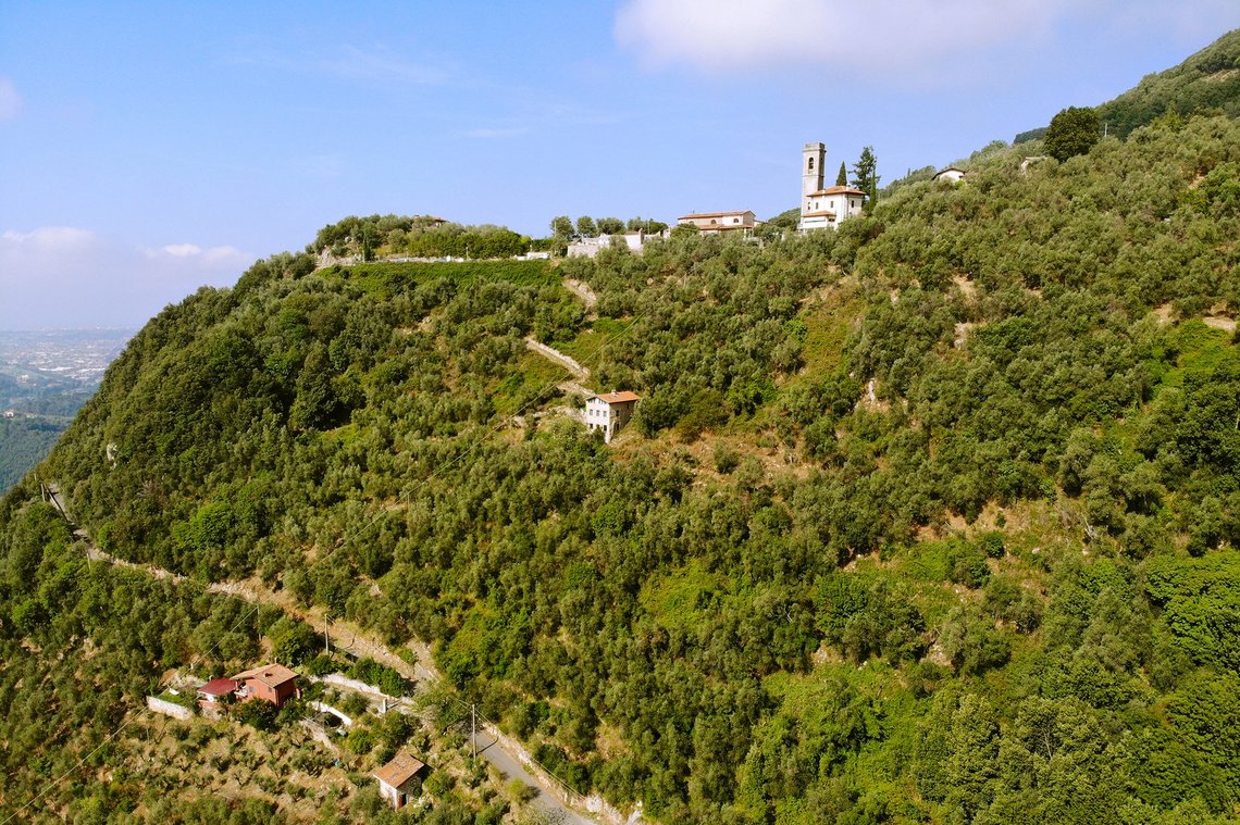 Blick auf Greppolungo und Casa Berti