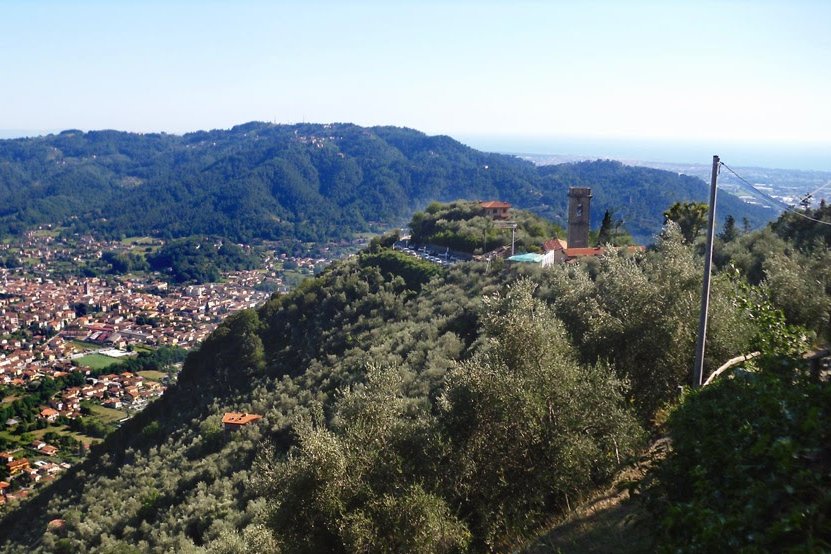 Urlaub im Olivenhain mit Meerblick